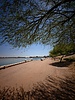 photo thumbnail #12