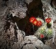 photo thumbnail #3