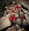 photo thumbnail #6