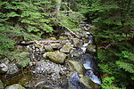 photo thumbnail #5