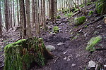 photo thumbnail #8