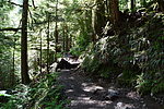 photo thumbnail #4