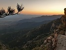 photo thumbnail #6