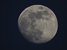 photo thumbnail #7