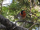 photo thumbnail #11