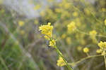 photo thumbnail #15