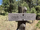 photo thumbnail #8