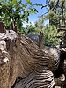 photo thumbnail #10