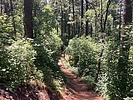 photo thumbnail #12