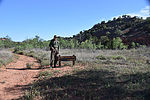 photo thumbnail #6