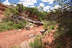 photo thumbnail #4
