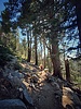 photo thumbnail #14