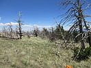 photo thumbnail #6