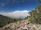 photo thumbnail #9
