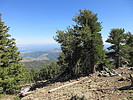 photo thumbnail #12