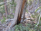 photo thumbnail #15