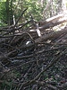 photo thumbnail #9
