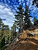 photo thumbnail #10
