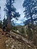 photo thumbnail #15