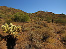 photo thumbnail #6
