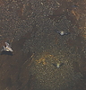 photo thumbnail #15