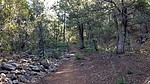 photo thumbnail #1