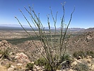 photo thumbnail #4