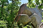 photo thumbnail #8