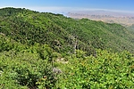 photo thumbnail #10