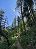 photo thumbnail #12