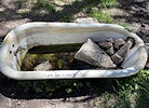 photo thumbnail #5