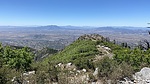 photo thumbnail #7