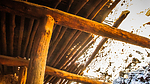 photo thumbnail #13