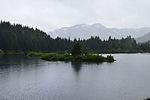 photo thumbnail #15