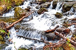 photo thumbnail #6