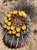 photo thumbnail #4