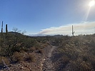 photo thumbnail #1