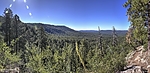 photo thumbnail #8