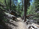 photo thumbnail #13