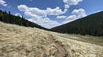 photo thumbnail #11