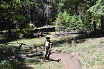 photo thumbnail #8
