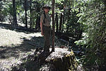 photo thumbnail #9