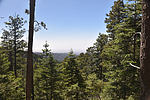 photo thumbnail #10