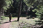 photo thumbnail #11