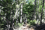 photo thumbnail #14