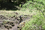photo thumbnail #6