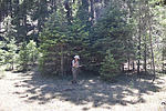 photo thumbnail #13