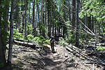 photo thumbnail #2
