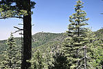 photo thumbnail #9