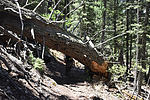 photo thumbnail #10
